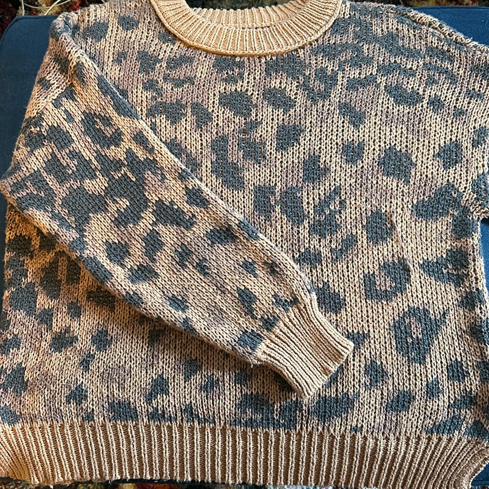 Large Aerie Leopard Knit Sweater
